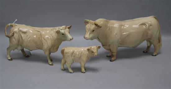 A Beswick Charolais cattle family comprising Bull 2463A, Cow 3075A and calf 1827B, gloss
